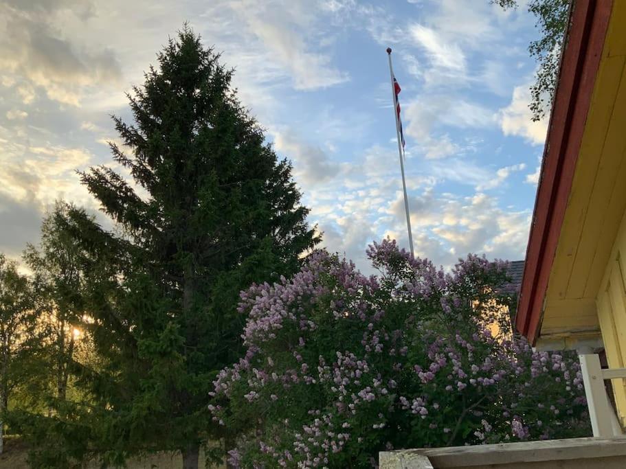 Vestermo Holiday home