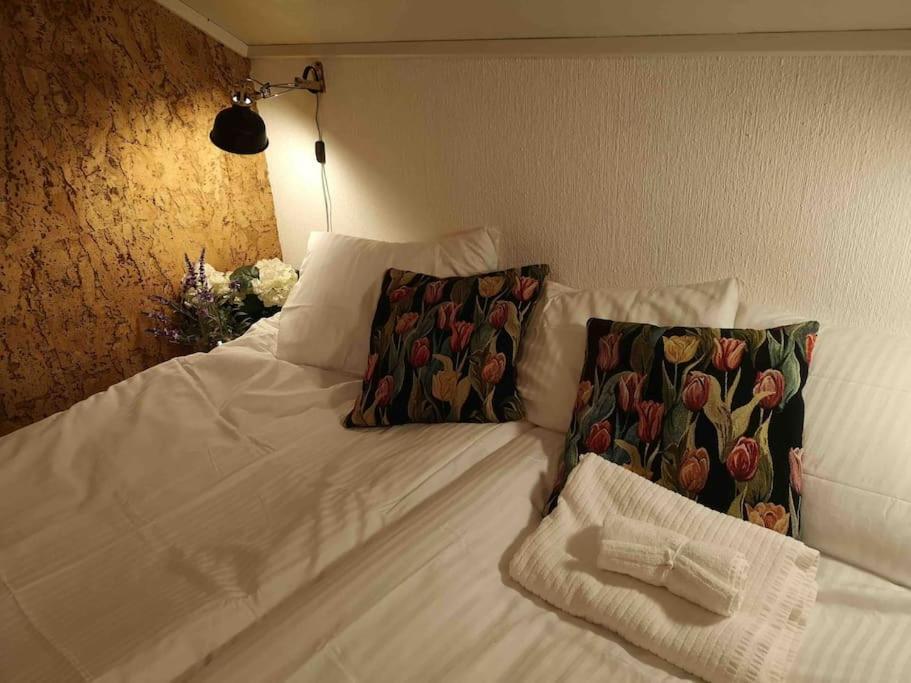 Vestermo Holiday home Brandvoll