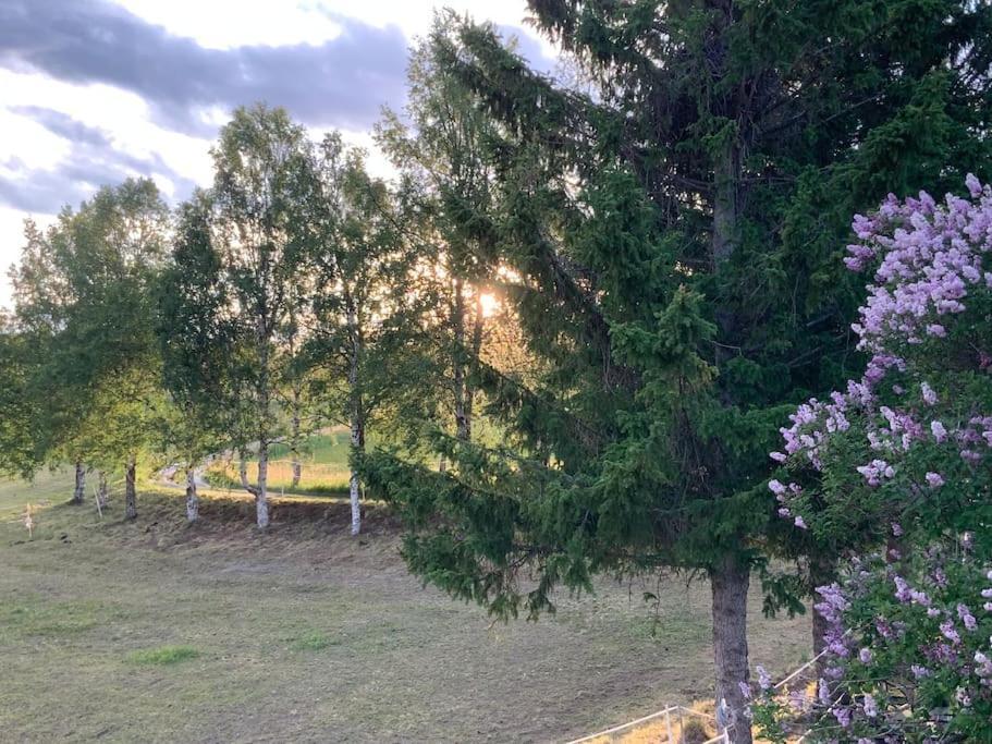 Holiday home Vestermo